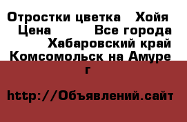 Отростки цветка  “Хойя“ › Цена ­ 300 - Все города  »    . Хабаровский край,Комсомольск-на-Амуре г.